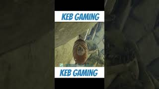 Pro vs Noob ARK GasBag gaming arksurvivalevolved arkcommunity [upl. by Klehm]