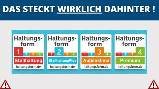 Haltungsform Kennzeichnung für Fleisch Was hinter den Stufen 1 bis 4 wirklich steckt [upl. by Lenahtan]