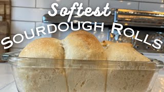 How to Make Soft Sourdough Rolls amp Cinnamon Rolls [upl. by Ahserak]