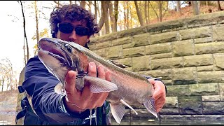 First Time Fly Fishing For Great Lakes Steelhead [upl. by Spense]