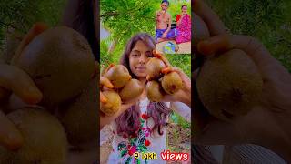 কিউই ফল থেকে গাছ কেনো হতে চায়না kiwi fruit 🥝 [upl. by Vtarj]