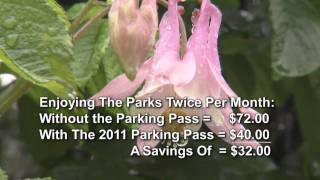 Regional parks in Clark County  annual parking pass will save you cash [upl. by Krishna617]