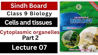 cytoplasmic organelles  cells and tissues  class 9th biology Sindh board new book [upl. by Ramej333]