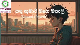 Sanda Kumari Mage Manali  සඳ කුමාරි මගෙ මනාලි  Slowed and Reverb  TM Edu  tmedusl2010 [upl. by Kobe189]