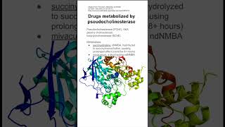 Drugs metabolized by pseudocholinesterase [upl. by Artenahs658]