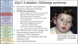 Primary immunodeficiency disorders [upl. by Harley]