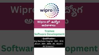 Wipro Careers Software Trainee ఉద్యోగ అవకాశాలు  Any Bachelor  Master Degree jobs wipro [upl. by Novoj]