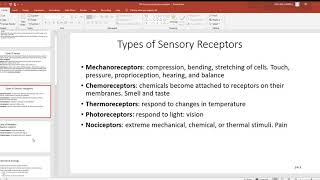 139 Senses and sensory receptors [upl. by Damalas]