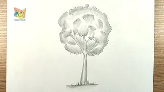 comment dessiner un arbre au crayon [upl. by Eninotna]