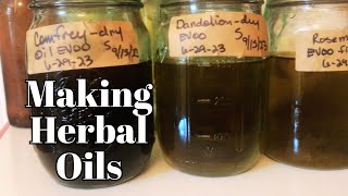 Homemade Oregano Oil Your Pantrys HealthBoosting Secret [upl. by Nuahsak]