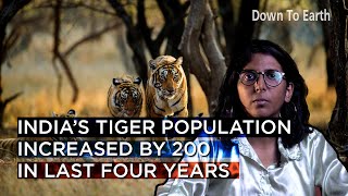 Tiger Census 2022 India’s tiger population increased by 200 in last four years [upl. by Mettah]