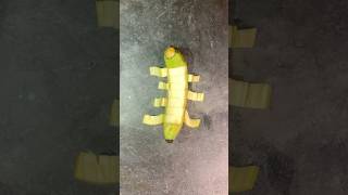 So amazing fruit bananas🍌from cutting reels fruit shorts banana viralshorts RMcutting78 [upl. by Suedama]