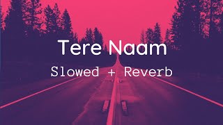 Tere Naam SlowedReverb  Alka Yagnik amp Udit Narayan [upl. by Alonso806]