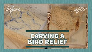 Carving a bird relief  Step by Step Woodcarving [upl. by Yslehc]