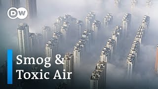 How much does smog and air pollution shorten our lives  DW News [upl. by Borroff778]