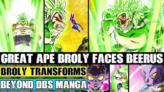 Beyond Dragon Ball Super Great Ape Broly Faces Off Against Beerus Brolys NEW Transformation [upl. by Auqined]