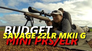 Budget 22LR for mini PRSELR Savage MKII G [upl. by Corwin34]