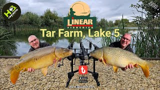 288 Linear Fisheries Tar Farm Lake 5 [upl. by Assilrac]