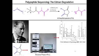 Lec11  Amino Acid Sequencing and the Edman Degradation [upl. by Myna]