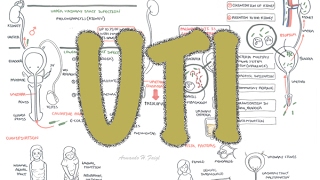 Urinary Tract Infection  Overview signs and symptoms pathophysiology causes and treatment [upl. by Virge]