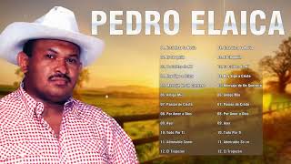 Pedro Elaica Sus Grandes Exitos  Lo Mejor De Pedro Elaica Musica llanera Cristiana [upl. by Fergus]