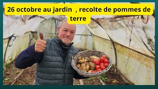 26 octobre au jardin encore de la pomme de terre nouvelle [upl. by Demetrius]