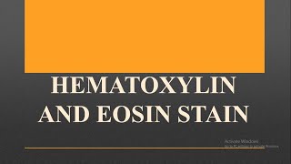 HAEMATOXYLIN AND EOSIN STAIN [upl. by Gill]