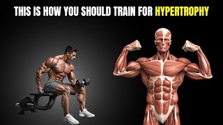 What is HYPERTROPHY and how does it happen  FIT FUNDAMENTALS [upl. by Gio537]