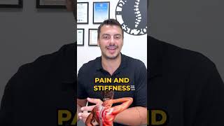 How Chiropractic Adjustments Relieve Pain Naturally – Part 2 [upl. by Itteb]