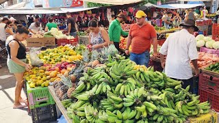 A FEIRA EM CACHOEIRINHA TEM A CARNE  DE PERNAMBUCO [upl. by Algy242]