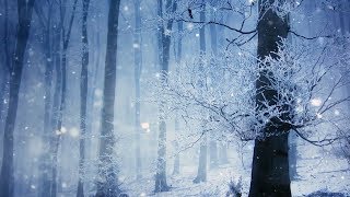 Peaceful Instrumental music Relaxing music quotThe Snow Glowquot Happy New Year [upl. by Flanna767]