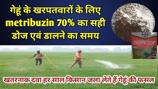 गेहूं के खरपतवारों के लिए metribuzin 70 का स्प्रे कब और कितनी मात्रा में लेकर करें। herbicide metri [upl. by Andromede]