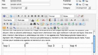 Using tables in the WYSIWYG editor [upl. by Platt]