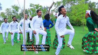 Hacaaluu Araarsaa Jarumaafi  Oromo Music 2018 New [upl. by Senior376]