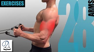 23 RESISTANCE BAND ARM EXERCISES AND WHAT PART OF THE ARM THEY TARGET vol2 [upl. by Alenoel]