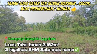 TANAH LUAS DATAR SUBUR MAKMUR  COCOK UNTUK HUNIAN DAN BERKEBUN dijual shm p 2162m² [upl. by Eanahc]