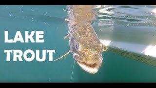 Lake Trout Fishing at Quabbin Reservoir [upl. by Yelkrab]