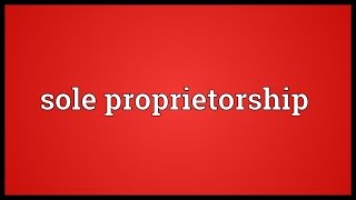 Sole proprietorship Meaning [upl. by Sillek]