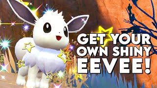 10 Shiny EEVEE in ONE Day How This is How ► Pokemon Scarlet and Violet [upl. by Silverstein359]