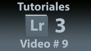 Tutorial Lightroom  9 Español ¿Cómo aplicar ajustes de color tono saturación etc liclonny [upl. by Eiten]