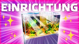 60cm AQUARIUM EINRICHTUNG  Aquascaping ideas [upl. by Laemsi224]