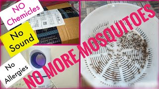 Best Mosquito killer Unboxing And Review In TeluguNo entry For Mosquitoes [upl. by Ghassan]