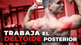 Trabaja el Deltoides Posterior 💪🏻 La guía más completa [upl. by Kliment]