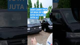 New Carry Pick Up losbak shortvideodealermobilsuzuki review mobil bak [upl. by Innoc]