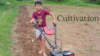 kids vlog cultivation [upl. by Drhacir]