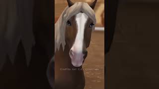 New Noriker Spoilers music song spoilers horse noriker sso spoiler starstable fypシ゚ [upl. by Lara]