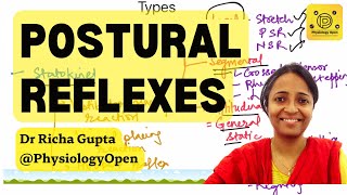 postural reflexes physiology  Righting reflex Maintenance of muscle tone CNS Physiology [upl. by Lokim]