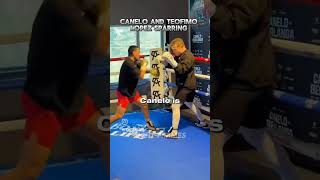 Canelo Sparring Teofimo caneloalverez teofimolopez mexico russia mexicanboxer boxeo mexico [upl. by Brouwer415]