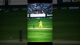 Steve Smith Cover Drive shorts cricket stevesmith [upl. by Kyne]