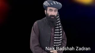 Naik Badshah Zadran Pashto Wahtan Songs 2024 نیک بادشاہ [upl. by Okikuy]